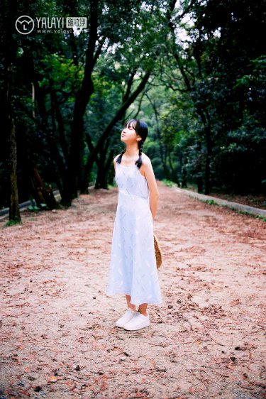 惜花芷免费观看全集电视剧高清版