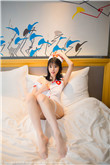 顶楼里的大象