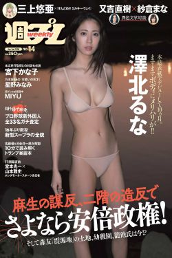 男阳茎进女阳道视频大全