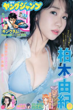 新版金银瓶1一5电影