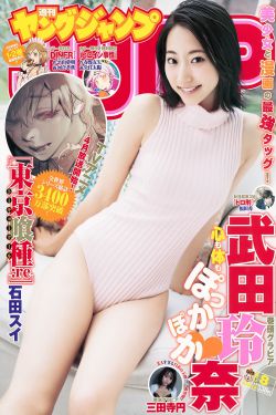 傅晶主演的电视剧