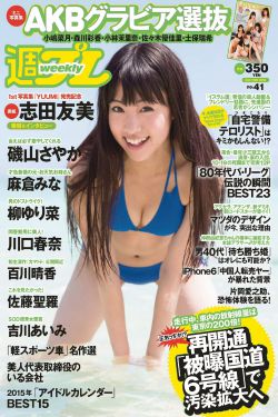 诸葛亮传