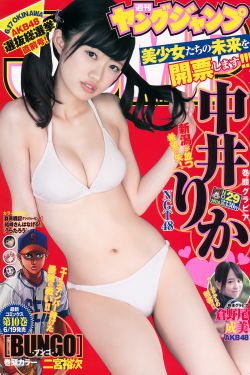 女生裙子的底子