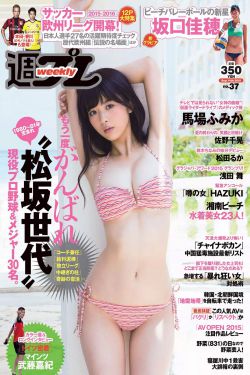 赤子乘龙电视剧